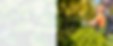 Group 5542.png