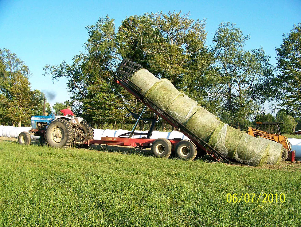 Haying - dump wagon 6-9-10.jpg