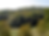 Ausblick