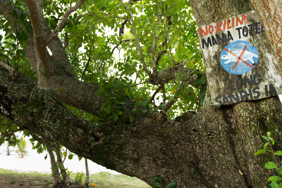 CCVanuatu09