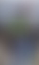 Magníficos resultados de los surfistas canari@s en el Goanna Pro 2022