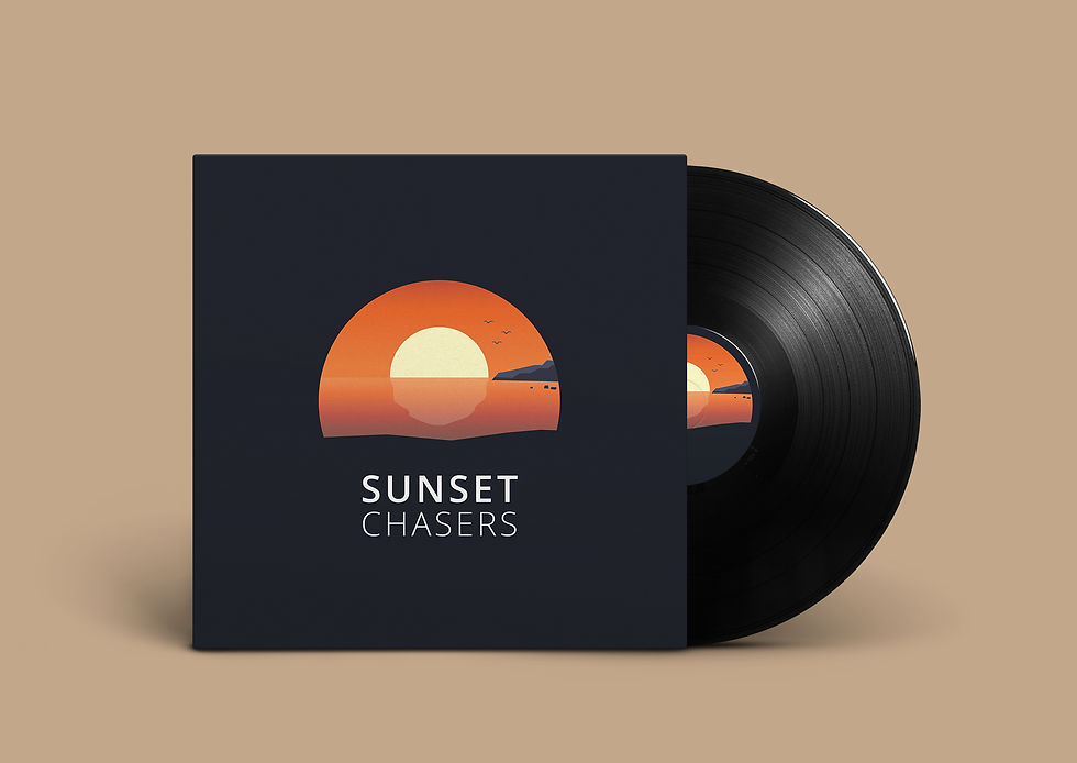 Vinyl Covers