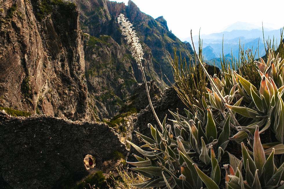 Pico do ariero 4