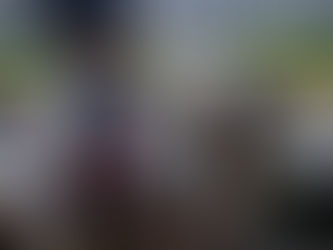 Ce que les chevaux m'ont appris