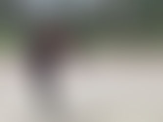 Témoignage : Aurore et Léo