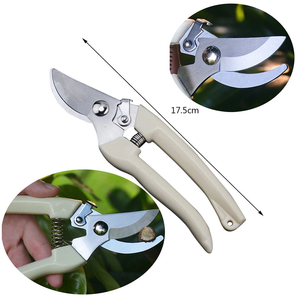 Thumbnail: Branch Shears Sharp Garden Shears Clippers Labor-saving Trimming