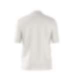 Dos d'un polo blanc, Polo en maille à encolure zippée et finition logotée revisitée.