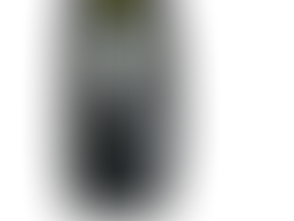 Aftermarket Run-Flat System for Off-Road Tires