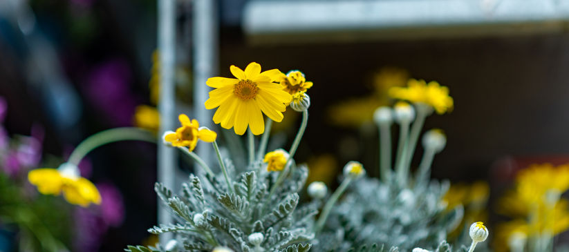 Reportage photo en entreprise