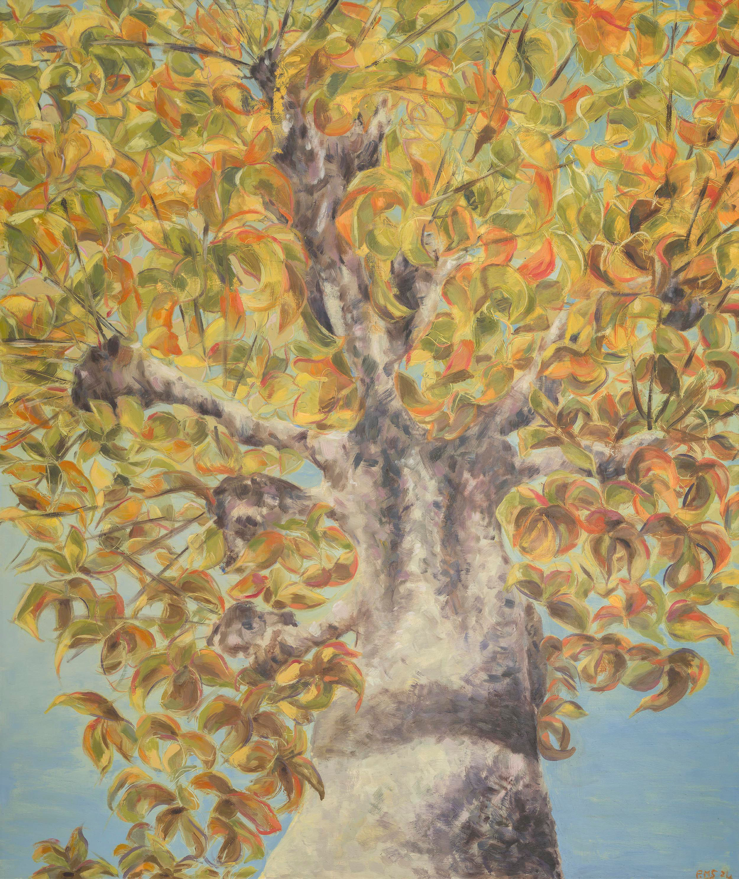Autumn tree, Cajarc, France, 2024 by Pascale Stacey