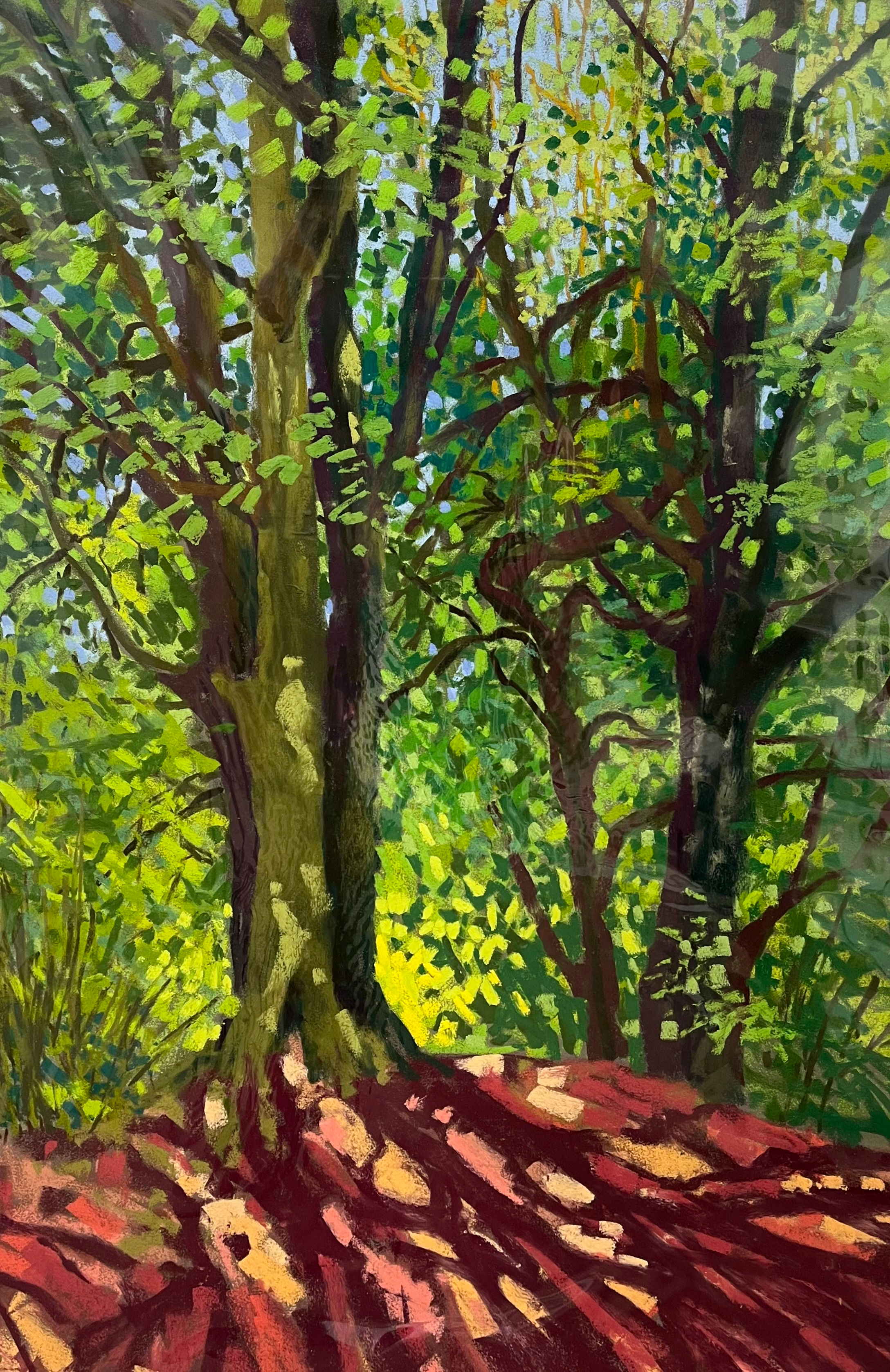 Beech Wood, Roundway Hill by Cathy Pearce