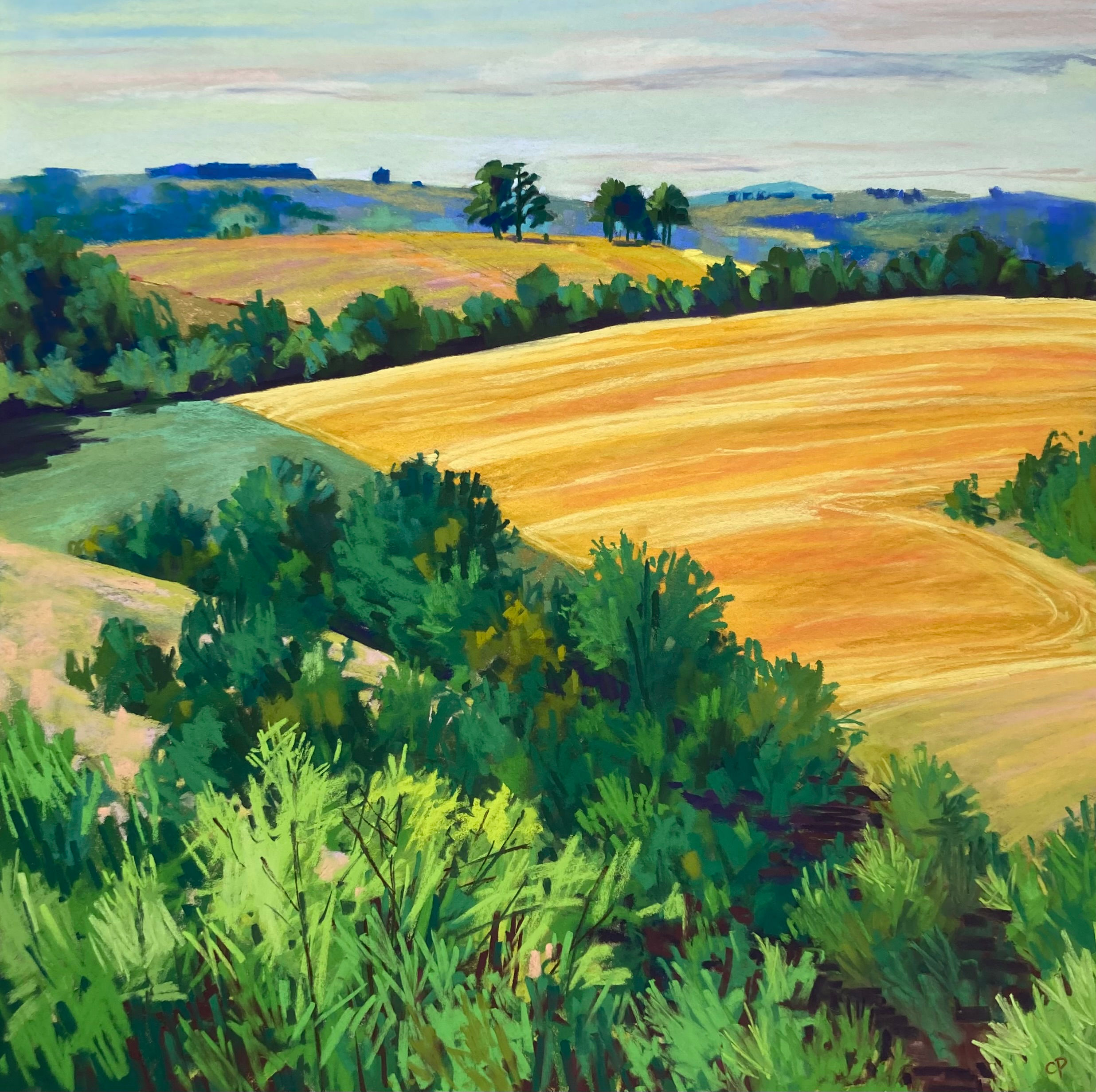 Oliver's Castle from Kings Play Hill by Cathy Pearce