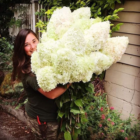 A lovely brunette woman is hugging a large bunch of white hydrangeas and smiling toward the camera.