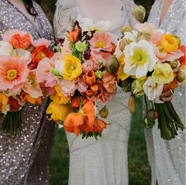 A bride and two bridesmaids hold three bouquets of yellow, orange, pink, and white poppies in front of their dresses.