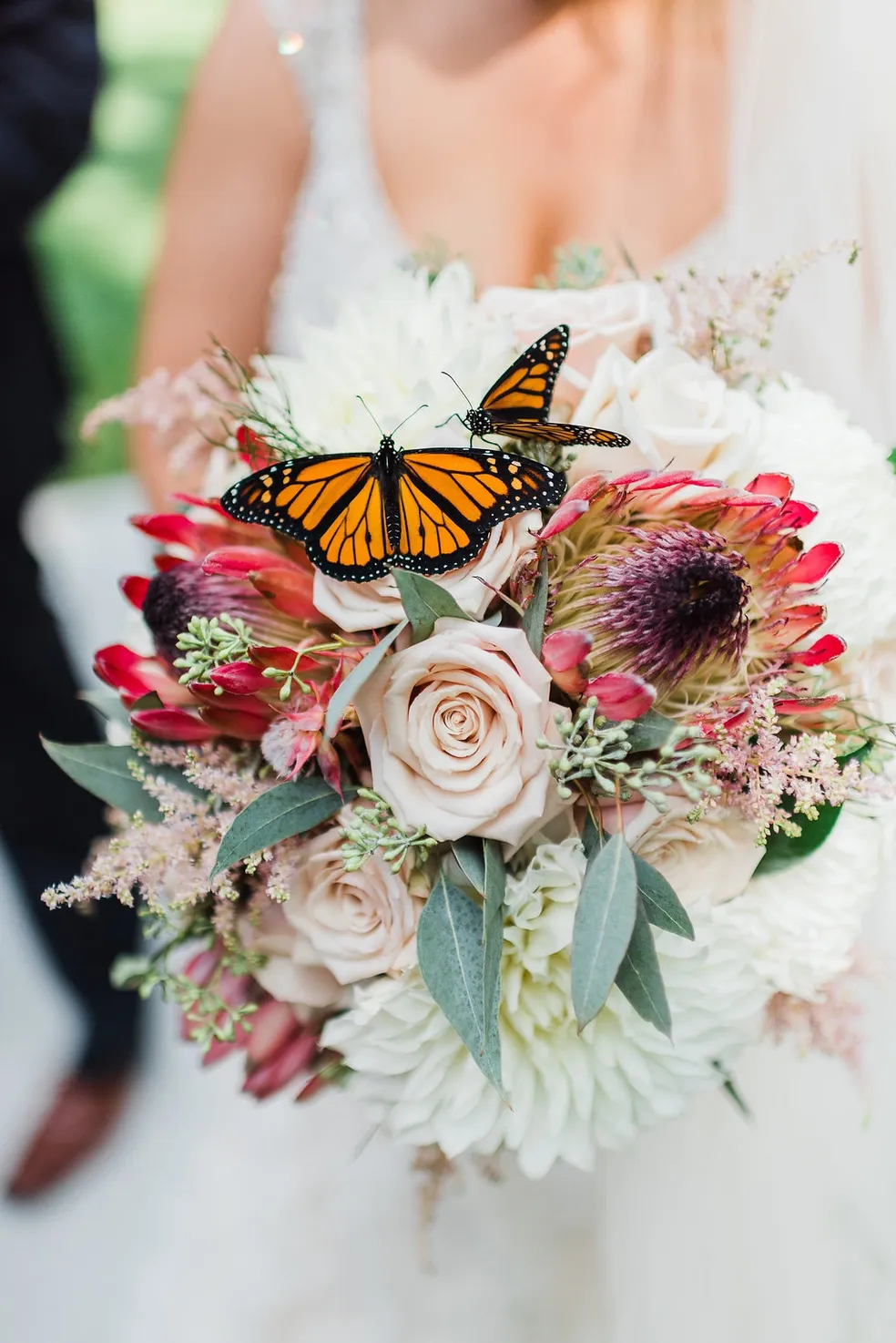 butterfly bouquet.webp