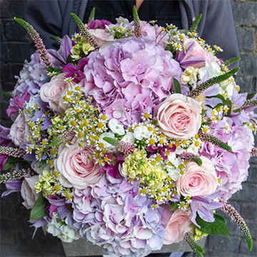 A large round bouquet of purple hydrangeas, pink roses, white baby's breath, possibly chamomile, and purple and green lavender is held in front of a grey backdrop.