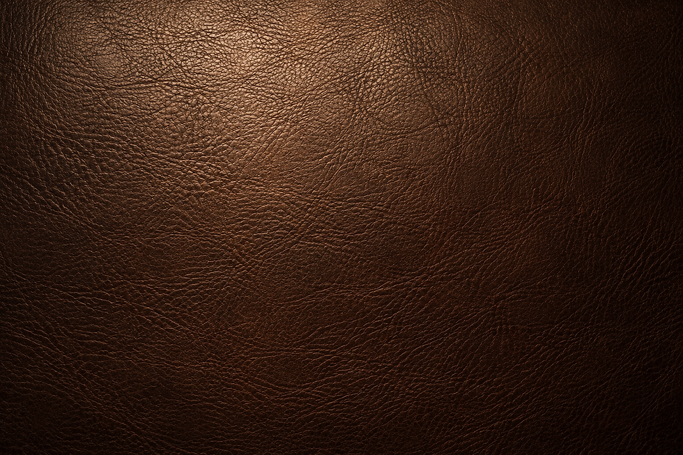 12FC8887-08B7-4C41-92C9-8B11198BE486.png