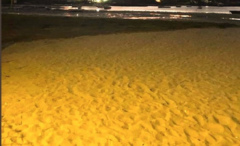 Screenshot 2022-12-27 at 11_edited.jpg