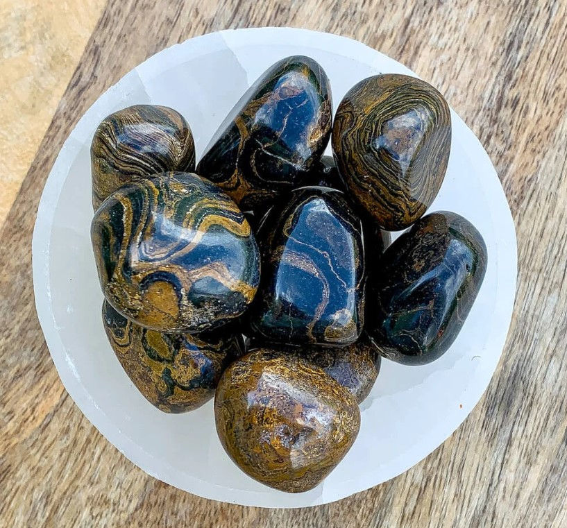 Natural Tumble Stone : Stromatolite Fossil