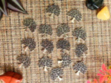 Tree of Life Charm Pendant (15pcs)