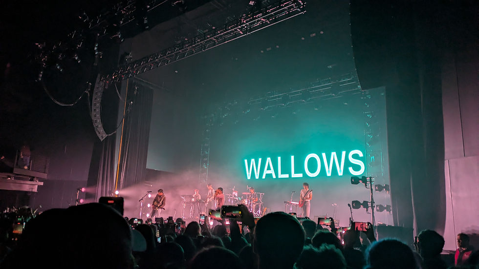 Saw a Wallows Concert