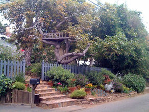 SIX EASY WAYS TO BOOST CURB APPEAL IN JUST ONE DAY