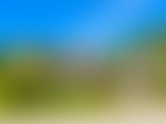 Home Buying in Spring: A Guide from Your Mortgage Broker