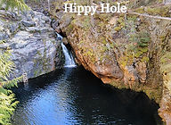 Hippy Hole_edited.jpg