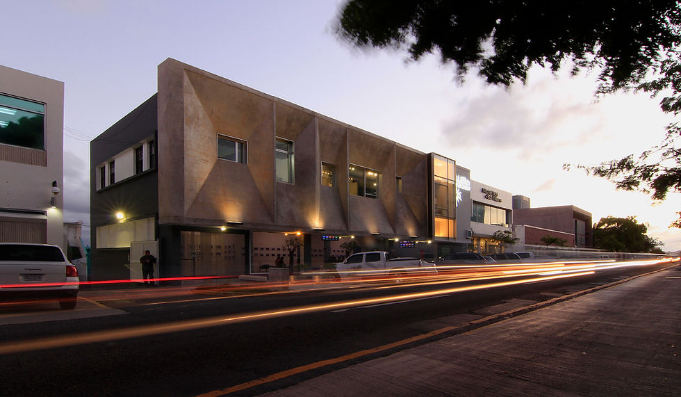 RAFAEL CASTRO MONTES DE OCA, AIA