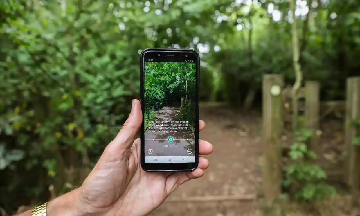 Why forests make us happy