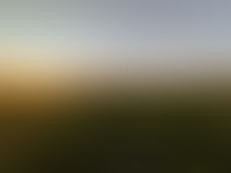 Conservation field story photo from Born of Sand and Storm