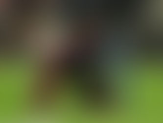 "Frank's got magic fingers..." - Eddie Nketiah.