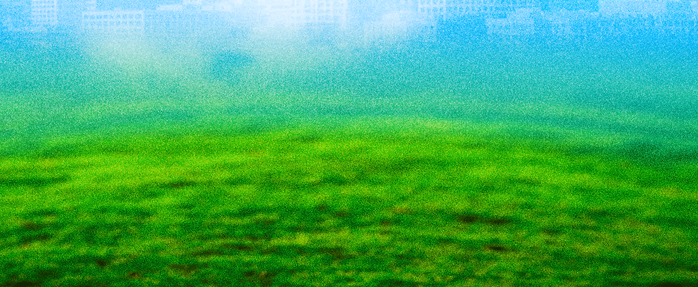 225Fest 2027 banner (4).png