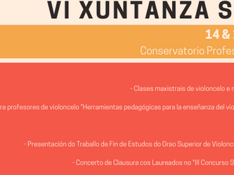 VI Xuntanza Soncello – Lugo
