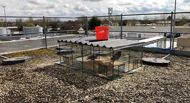 WhatsApp Image 2025-12-22 at 8.38.17 PM.jpeg