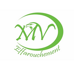 490980409_9574766375955546_3695162229852635391_n (1)_edited.png