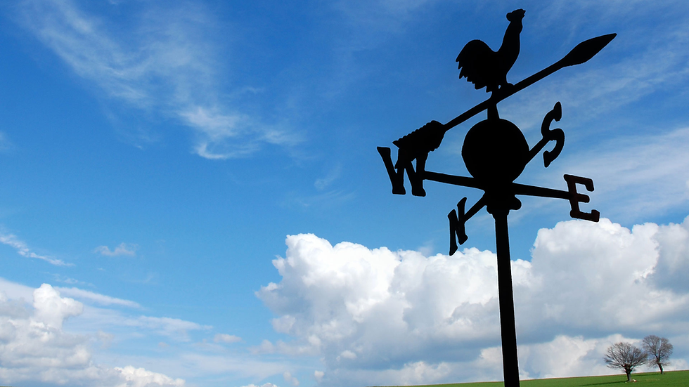 A silhouette of a weather vane with cardinal directions (N, S, E, W) and a rooster perched on top stands against a bright blue sky with scattered clouds. In the distance, a green field and a few bare trees are visible on the horizon.