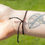 Miniaturbild: Armband - Eule