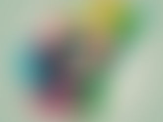 Your Path to U.S. Citizenship: A Complete Guide to Naturalization