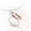 Thumbnail: Cuban Moonstone ring