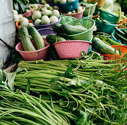VEGGIES.jpg