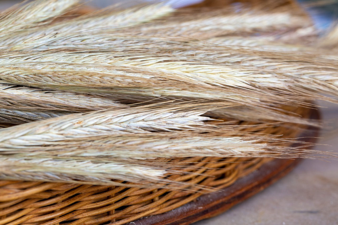 Danko Rye