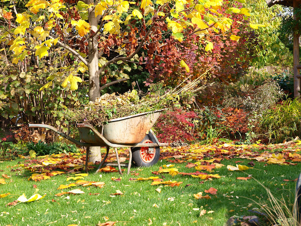 Prepping Your Garden for Winter