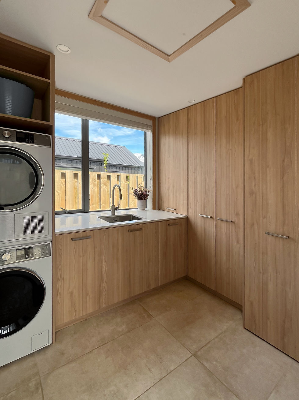 Cambrian Laundry-1