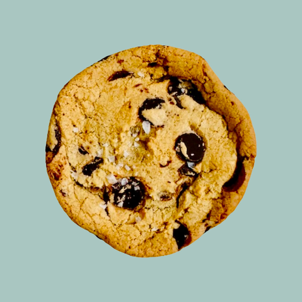 chocolate chip cookie