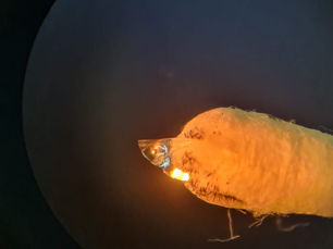 Understanding Contact Lens Complications and Their Care at Titanium Eye Care