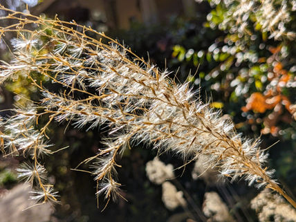 How Autumn Slides into My Words