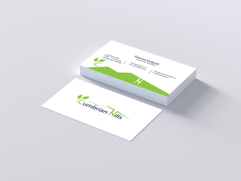 Business Identity Kit