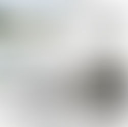 Реконструкция дома культуры завода «Аскольд»