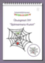 Spinnennetz mit zwei Spinnen